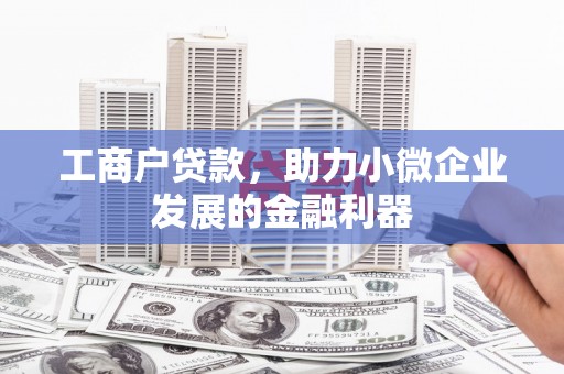 尼勒克工商户贷款，助力小微企业发展的金融利器