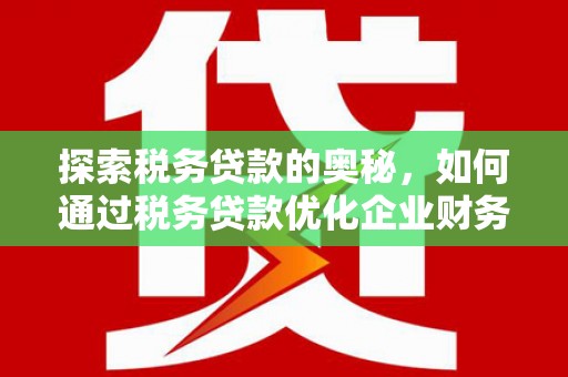 尼勒克探索税务贷款的奥秘，如何通过税务贷款优化企业财务