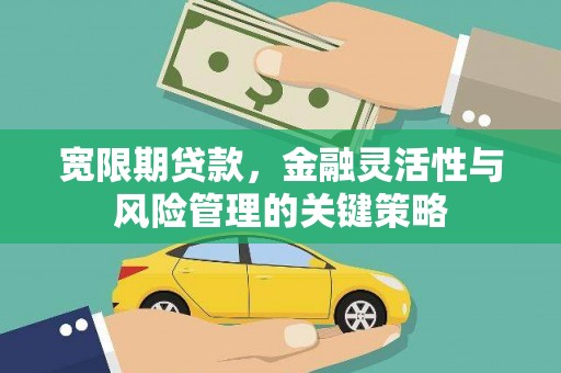 尼勒克宽限期贷款，金融灵活性与风险管理的关键策略