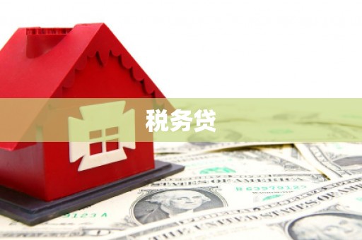 尼勒克税务贷