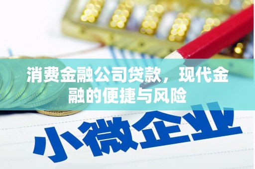 尼勒克消费金融公司贷款，现代金融的便捷与风险