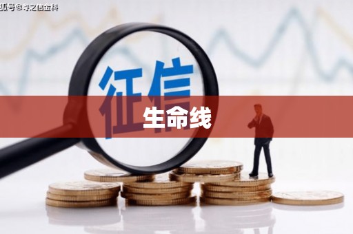 尼勒克生命线