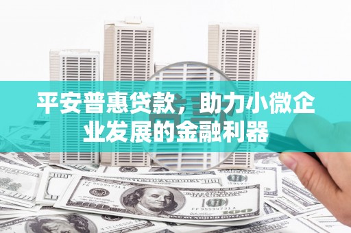 尼勒克平安普惠贷款，助力小微企业发展的金融利器