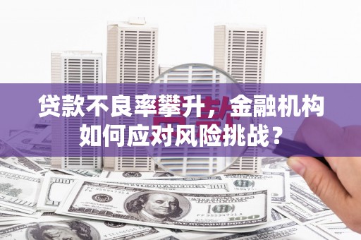 尼勒克贷款不良率攀升，金融机构如何应对风险挑战？