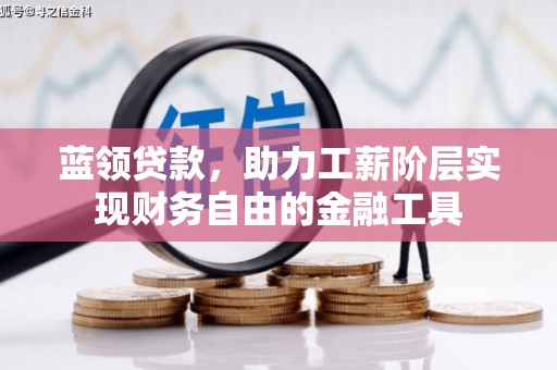 尼勒克蓝领贷款，助力工薪阶层实现财务自由的金融工具
