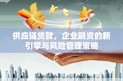 尼勒克供应链贷款，企业融资的新引擎与风险管理策略