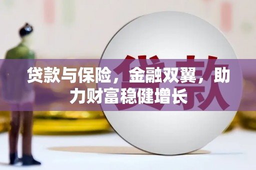 尼勒克贷款与保险，金融双翼，助力财富稳健增长