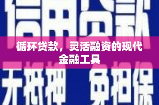尼勒克循环贷款，灵活融资的现代金融工具