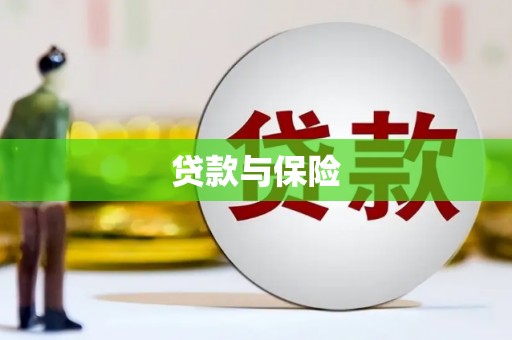 尼勒克贷款与保险