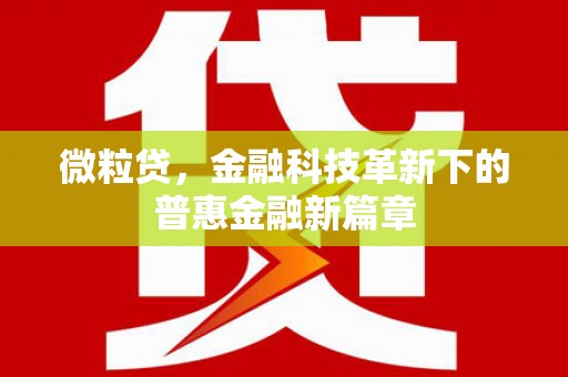 尼勒克微粒贷，金融科技革新下的普惠金融新篇章