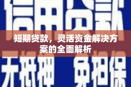 尼勒克短期贷款，灵活资金解决方案的全面解析