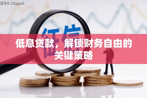 尼勒克低息贷款，解锁财务自由的关键策略