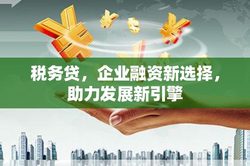 尼勒克税务贷，企业融资新选择，助力发展新引擎