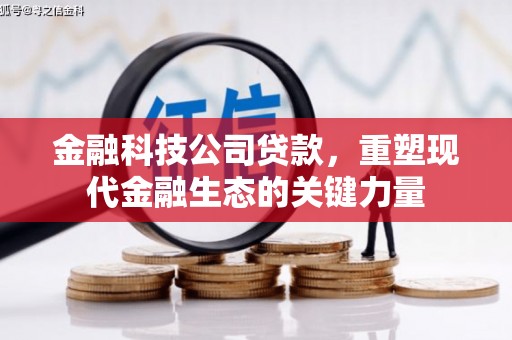 尼勒克金融科技公司贷款，重塑现代金融生态的关键力量