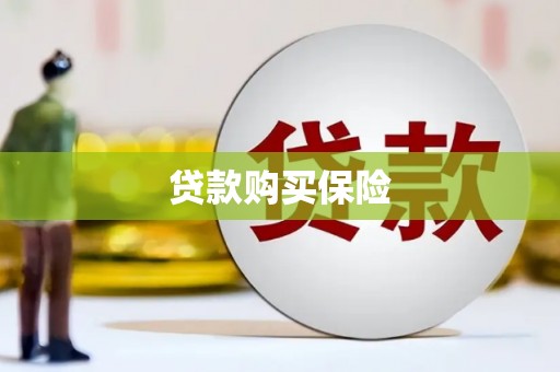 尼勒克贷款购买保险