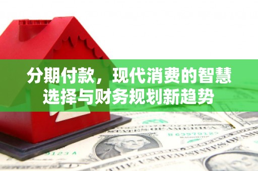 尼勒克分期付款，现代消费的智慧选择与财务规划新趋势