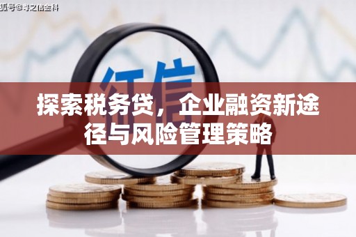 尼勒克探索税务贷，企业融资新途径与风险管理策略