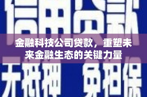 尼勒克金融科技公司贷款，重塑未来金融生态的关键力量
