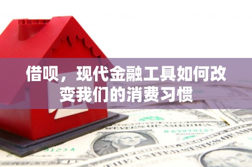 尼勒克借呗，现代金融工具如何改变我们的消费习惯