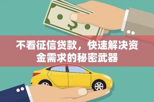 尼勒克不看征信贷款，快速解决资金需求的秘密武器