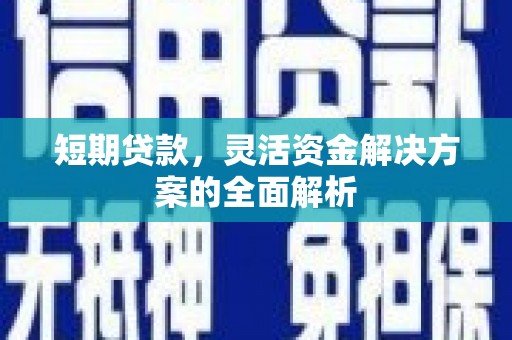 尼勒克短期贷款，灵活资金解决方案的全面解析