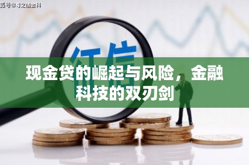 尼勒克现金贷的崛起与风险，金融科技的双刃剑