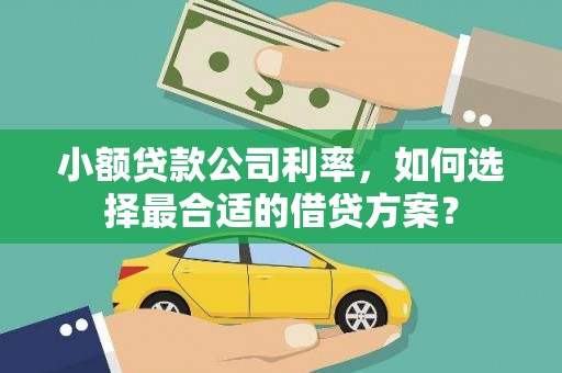 尼勒克小额贷款公司利率，如何选择最合适的借贷方案？