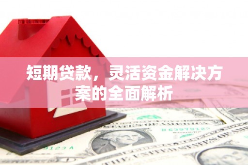 尼勒克短期贷款，灵活资金解决方案的全面解析