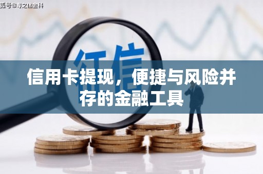 尼勒克信用卡提现，便捷与风险并存的金融工具