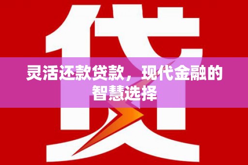 尼勒克灵活还款贷款，现代金融的智慧选择