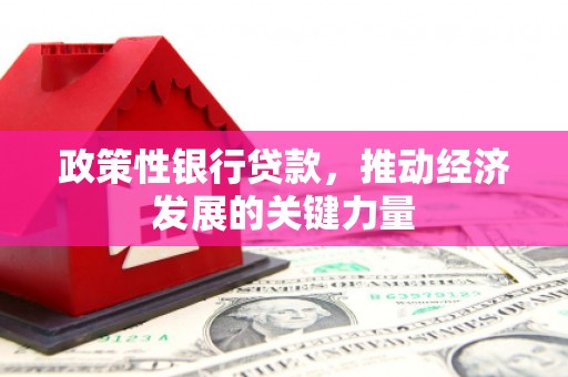 尼勒克政策性银行贷款，推动经济发展的关键力量