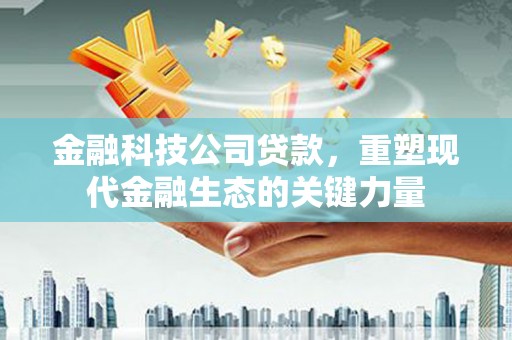 尼勒克金融科技公司贷款，重塑现代金融生态的关键力量