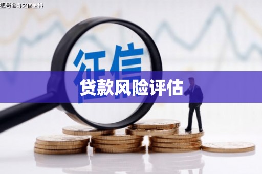 尼勒克贷款风险评估