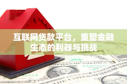 尼勒克互联网贷款平台，重塑金融生态的利器与挑战