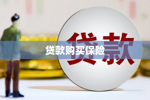 尼勒克贷款购买保险