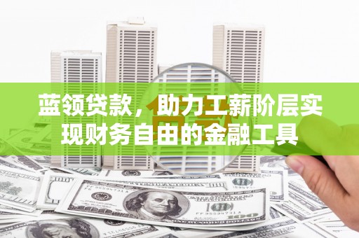 尼勒克蓝领贷款，助力工薪阶层实现财务自由的金融工具