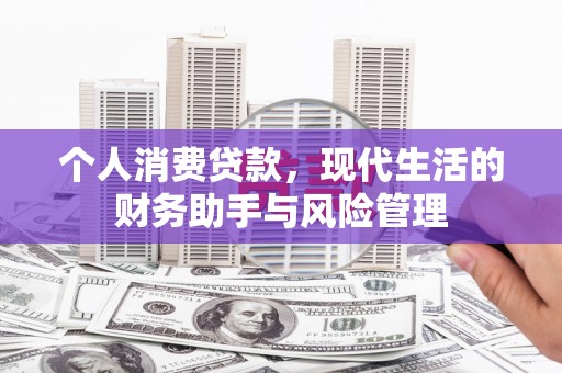 尼勒克个人消费贷款，现代生活的财务助手与风险管理