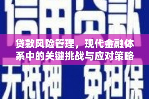 尼勒克贷款风险管理，现代金融体系中的关键挑战与应对策略