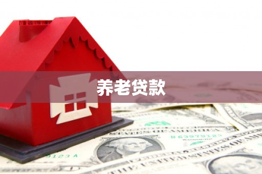 尼勒克养老贷款