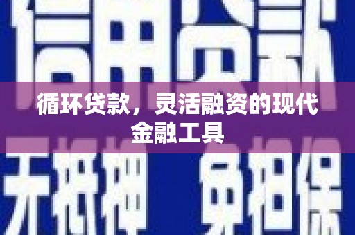 尼勒克循环贷款，灵活融资的现代金融工具