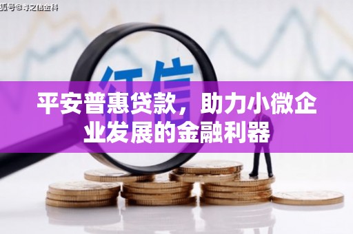 尼勒克平安普惠贷款，助力小微企业发展的金融利器