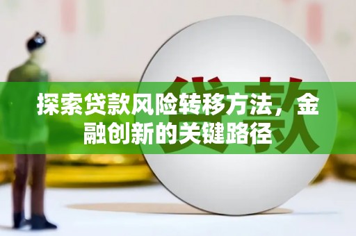 尼勒克探索贷款风险转移方法，金融创新的关键路径