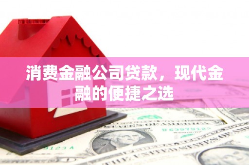 尼勒克消费金融公司贷款，现代金融的便捷之选