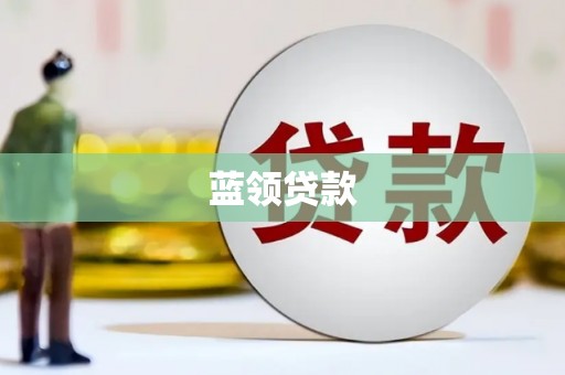 尼勒克蓝领贷款