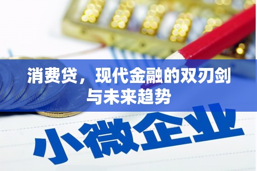 尼勒克消费贷，现代金融的双刃剑与未来趋势