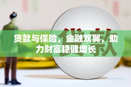 尼勒克贷款与保险，金融双翼，助力财富稳健增长