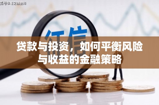 尼勒克贷款与投资，如何平衡风险与收益的金融策略